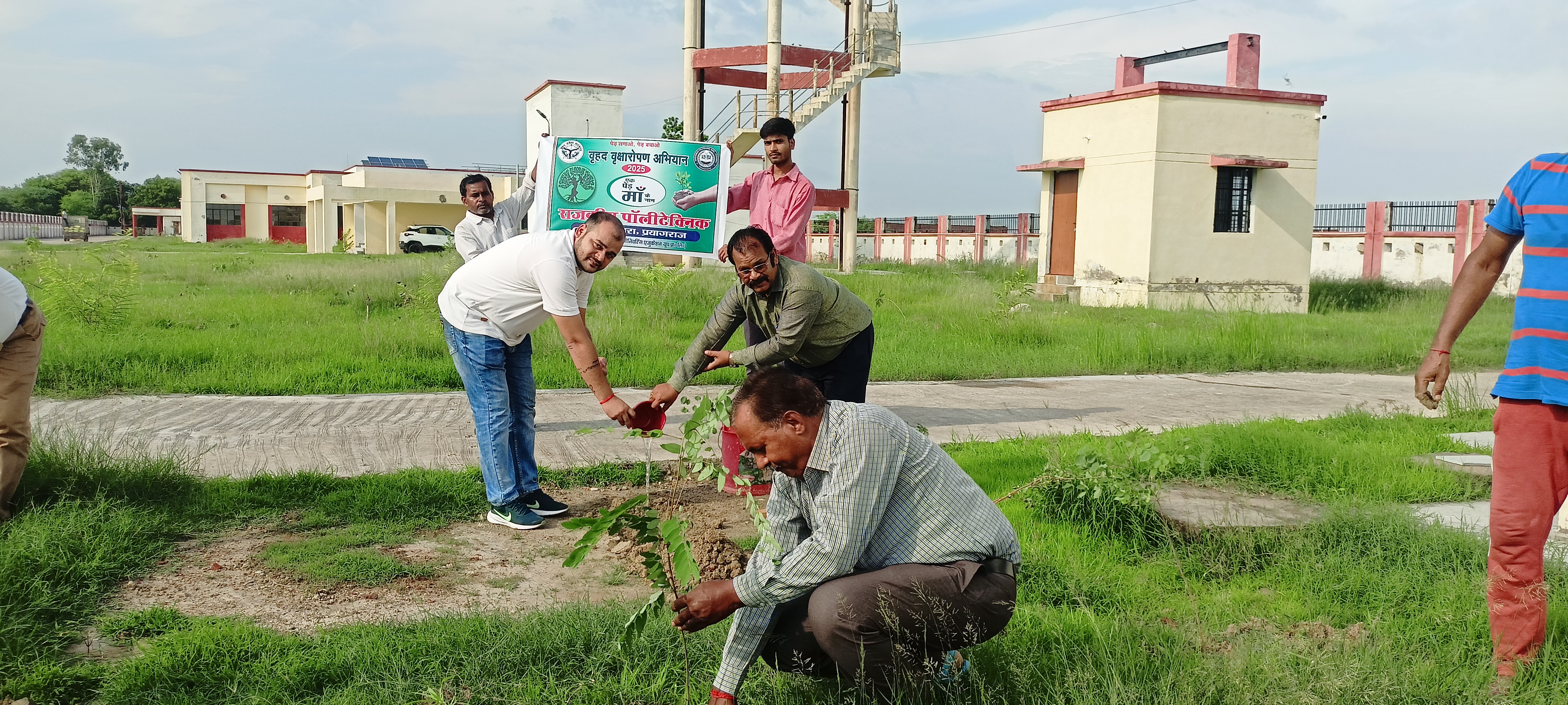 Tree Plantation - 2025